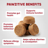 Probiotics for Dogs Digestive Health - Probiotic Chews for Gut Health, Itchy Skin Yeast, Diarrhea - USA Product - Immune Support Supplement - Dog Digestive Support & Allergy Relief Chews with Enzymes