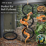 2PCS Snake Climbing Rings for Ball Python - Enrichment Toys for Corn Snake - Reptiletank Cage Decor Habitat Accessories | Terrarium, Bearded Dragon, Chameleon, Iguana, Gecko, Lizard, Parrot