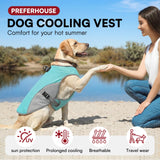 Preferhouse Dog Cooling Jacket for Large Dogs, Pet Cooling Vest with Mesh and D Ring, Dog Reflective Stripe Cooler Jacket for Beach, Hiking, Walking, Blue-L