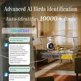 Freeseason Smart Bird Feeder with Camera & AI Bird Identifier, 2K HD Auto-Capture Video, Window Mounted with Strong Suction Cups, Unique Christmas Gift for Elderly Parents, Birding Lovers