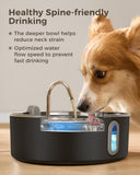 Smartoo Dog Water Fountain for Large Dogs 7L/236oz Stainless Steel Dog Water Bowl Dispenser Automatic Pet Water Fountain, Multi-Filtration Pet Fountain with Ultra-Quiet Pump (Black)