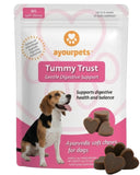 Ayourpets Dog Digestive Chews for Diarrhea, Loose Stool & Sensitive Stomachs – Holistic Herbal Gut Support with Turmeric, Ginger & Fennel – Pork Flavor – 90 Count