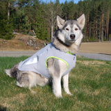 SGODA Dog Cooling Vest Harness Cooler Jacket Grey Green X-Large