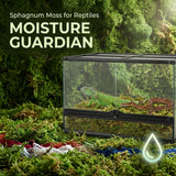 Sukh Sphagnum Moss for Reptiles - Terrarium Reptiles Moss Green Dried Peat Moss Habitat Bedding Moss for Snakes Turtle Frog Gecko and Other Reptiles Substrate (5, Ounces)