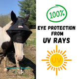 EquiVizor Solar Vizor Horse Fly Mask (Size COB), Superior UV Eye Protection to 100% for Horses with Uveitis, Photosensitivity, Ulcer, Head Shaking