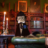 NIULA Cat Halloween Costume - Pet Wizard Costumes Mantle Magician Cosplay Clothes with Bowtie & Glasses Set, Festival Party Apparel for Small Pets Cats Dogs
