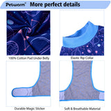 PetWarm Dog Suit for Surgery Recovery, Dog Recovery Suit for Female Spay, Protective Bodysuit with Abdominal Coverage, Anti-Lick Comfortable Onesie for Small to Large Dogs, Galaxy Pattern, Purple, M