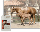 UltraCruz Equine Show Polish® Spray, 1 Gallon