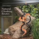2PCS Snake Climbing Rings for Ball Python - Enrichment Toys for Corn Snake - Reptiletank Cage Decor Habitat Accessories | Terrarium, Bearded Dragon, Chameleon, Iguana, Gecko, Lizard, Parrot