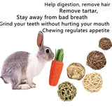 QHZHANG 24PCS Hamster Chew Toys Set, Natural Small Animal Teeth Grinding Molar Toys with Apple Wood Sticks Sweet Bamboo Grass Balls Pine Cones for Rabbit Chinchilla Guinea Pig Squirrel Gerbil