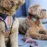 Lucky Love Dog Bundle - Large No Pull Dog Harness & Adjustable Collar, in Stylish Hippie Pattern, Durable & Comfortable for Pet Dogs, Suitable for Puppies & Adult Dogs