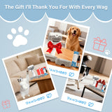 Pawimood Pet Steam Brush for Dogs & Cats | Self-Cleaning Dog Steam Brush with 3 Brushes & Spray Function | Cat Steam Brush for Shedding, Dematting & Grooming | Includes Pet Essence
