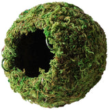 Galápagos (05346) Mossy Cave Hide, 4", Green