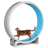 One Fast Cat - Cat Exercise Wheel - Gen. 7 - Safe 48" Diameter - Made in The USA - White Wheel with Koi Pond Foam Traction Pads and Solid Black Inline Wheels