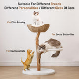 BUMUBI Modern Adult Cat Tree for Large cat Solid Wood Cat Tower for Indoor Cat Tall Cat Condo Cat Climbing Tower with Scratching Post Bed