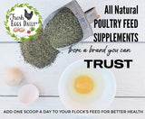 Fresh Eggs Daily Coop Kelp Supplement for Backyard Chickens and Ducks – Natural Egg Quality Booster for Vibrant Orange Yolks & Stronger Shells – Vitamin & Mineral Poultry Feed Additive, 7lbs