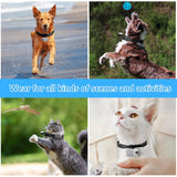 ehomful HD 1080P Cat Camera Collar with Video Record Wireless Mini Sport cam,Small Action Cameras,Body Camera for Pet Supplies/Stuff,Outdoor/Inoor Birthday Gift No WiFi