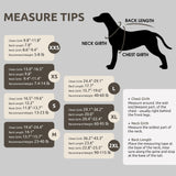 Queenmore Medium Dog Sweater, Soft Fleece Vest Pullover Dog Jacket with Leash Hole, Warm Winter Dog Clothes Cold Weather Doggy Dachshund Sweaters for Medium Dogs Cats Boy or Girl (Pink,M)