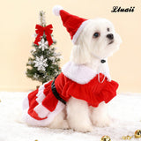 Dog Christmas Dress – Red Velvet Santa Claus Outfit with Christmas Hat for Small Dogs & Cats (5-22 lbs), Perfect Holiday Costume for Pets