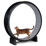 One Fast Cat - Cat Exercise Wheel - Gen. 7 - Safe 48" Diameter - Made in The USA - Black Wheel with Gray Felt Traction Pads and Solid Black Inline Wheels