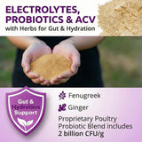 Buff Clucks AquaBoost Probiotic + Electrolyte Powder for Chickens – Natural Hydration & Gut Support Supplemnet for Daily Wellness & Egg Production - Safe for All Flocks & Ages - USA (8 oz)