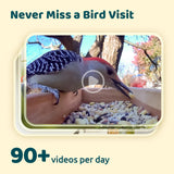 NETVUE by Birdfy Upgraded Smart Bird Feeder Camera, Solar Powered, Auto Bird Video Capture, Instant Notifications, AI Identify 6000+ Species
