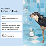 DedCool Pet Shampoo | 01 Taunt | Gentle Cleanser for Dogs | Plant-Based Formula for Soft, Fresh Coats | Sulfate-Free, Dye-Free | Vegan | 16.9 fl oz