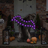 Malier Light Up Halloween Dog Costume, 20 LED Dog Bat Wings Halloween Cosplay Costume with Orange Lights Funny Clothes Halloween Thanksgiving Gifts for Small Medium Large Dogs Puppy Cats (Large)