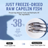 AIPETI Wild-Caught Freeze Dried Capelin for Cats & Dogs (2.47oz/70g) - Loaded with Crunchy Roe, 100% Whole Fish, Rich in Omega-3 for Skin & Coat, High-Value Grain-Free Training Treats