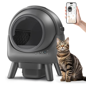 Self Cleaning Litter Box for Multiple Cats – Automatic Cat Litter Box – Dog  Pawshop