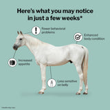 Formula 707 ULZERless Equine Supplement, 7.5lb Bag - Natural Gut Support for Horses with Ulcer Risk Factors