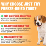 Just Try 16OZ Freeze-Dried Dog Treats Mixed Flavors for Dogs & Cats Raw Single Ingredient Chicken,Salmon, Beef Liver,Chicken Liver,Chicken Heart,Duck,Cod,High Protein Grain-Free Training Treats