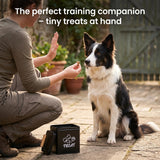Bopulatrix Dog Treat Container Airtight Set of 2-5.9x5.9x7.9 & 4.7x4.7x4.7 inch Iron Dog Treat Jars, 26 Cup Capacity, Food Grade Epoxy Coated, with Scoops, Black