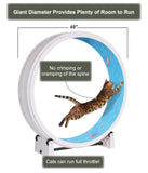 One Fast Cat - Cat Exercise Wheel - Gen. 7 - Safe 48" Diameter - Made in The USA - White Wheel with Koi Pond Foam Traction Pads and Solid Black Inline Wheels