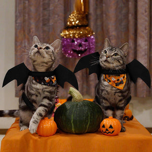 Halloween Pet Bat Wings Cat Dog Bat Costume Cute Black Cat Bat Wings Cosplay Puppy Cat Dress Up Accessories