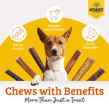 Advance Pet Products Premium 6 Inch Bully Sticks for Dogs (Pack of 5) – 100% Beef Dog Chews, Odor-Free, Long Lasting Treats for Aggressive Chewers, High Protein, Gluten & Rawhide Free, Easy to Digest