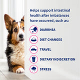 Nutramax Laboratories 30 Count Proviable Health Supplement for Cats and Dogs (PROVDC30)