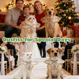 Leo Kitty New Year Pet Outfit for Small Cats & Small Dogs — Green Butterfly-Embroidered Costume, Holiday Dress-Up Essential