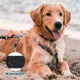 PetBonus Waterproof Dog Collar Safety Clip, Double Ended Leash Backup Clasp
