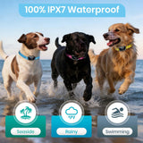 PetJoy Shock Collar for 3 Dogs & Dog Training Collars with Lockable Shock - Shock Lock Mode Switches to Tone & Vibe Only, Remote Features Slide Safety Lock, 4000ft Range (9 Tones)