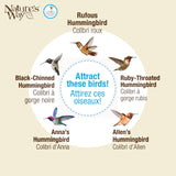 Nature's Way Bird Products MJF1 Nature's Way Mason Jar Hummingbird Dish Feeder, Clear