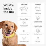 Halo Collar 4 Wireless Dog Fence & GPS Dog Collar, Keep Your Dog Safely Contained Outdoors with App-Controlled Boundaries and Real-Time Tracking, One Size, Graphite