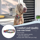 Lucky Love Dog Martingale Collar, Leash & Waste Bag Holder Floral Set - No-Buckle Collar for Training & Walking, Durable & Soft Webbing Leash, Cute Dog Poop Bag Holder - Blackbird, Small