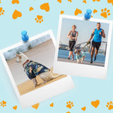 Weewooday 4 Pieces Small Pet Summer T-Shirts Hawaii Style Floral Pet Dog Shirt Breathable Cool Clothes Beach Seaside Puppy Sweatshirt for Puppy(Floral Style,X-Large)