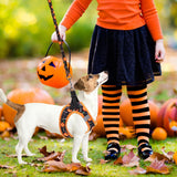 PUPTECK Adjustable Dog Harness Collar and Leash Set Step in No Pull Pet Harness for Small Medium Dogs Puppy and Cats Outdoor Walking Running, Soft Mesh Padded Reflective Vest Harnesses, Halloween, S