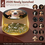 Wireless GPS Dog Collar Fence System No Subscription Fees, Electric Fence