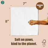 ECO SOUL Pet Cleaning Wipes, (2 Pack, 100 Count Each, Unscented)