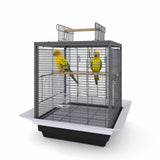 GarveeLife Small Bird Cage, 20 Inch Bird Cage, Parakeet Cage with Tray and Handle for Parrot Cockatiels Budgies Finch Lovebirds Pigeons, Black