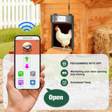 Automatic Chicken Coop Door, Smart TUYA APP Controlled, WiFi Enabled, Door Status Detection, Solar Powered, Anti Pinch, Auto Chicken Door with Timer & Light Sensor, LCD Display, 5 Modes