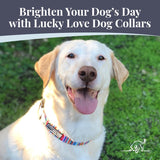 Lucky Love Dog Bundle - Medium No Pull Dog Harness & Adjustable Collar, in Stylish Hippie Pattern, Durable & Comfortable for Pet Dogs, Suitable for Puppies & Adult Dogs